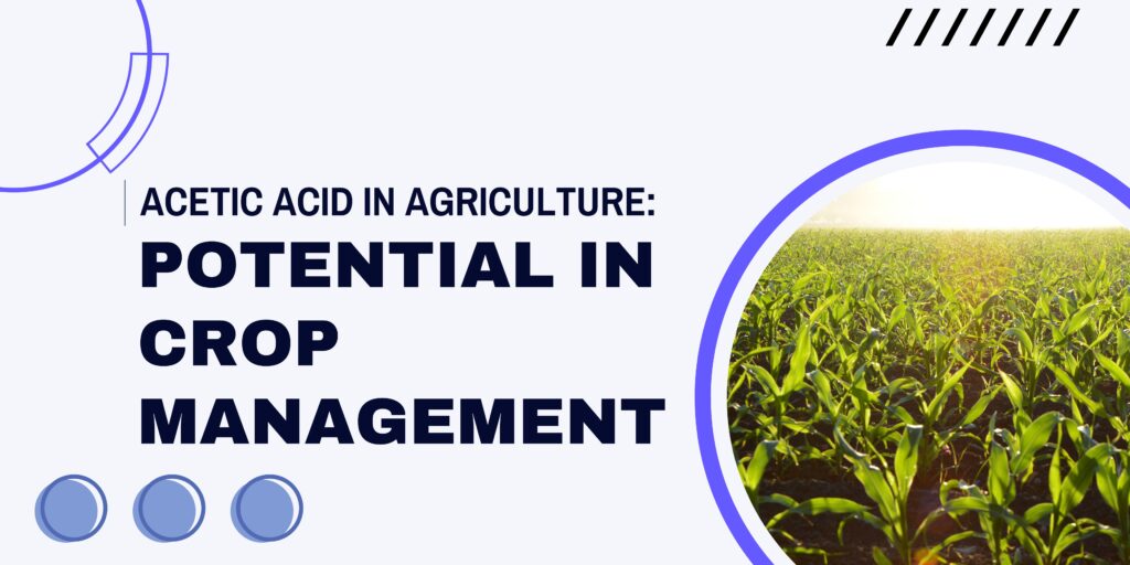 acetic acid in agriculture - blog banner